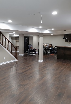 Finished basement with kitchenette