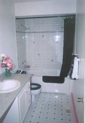 1960s bathroom renovation